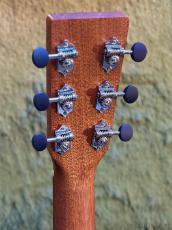 Martin 【NEW MODEL!!!】D-10E Retro Sapele #3039734【ROAD Series Refresh!!!】_6