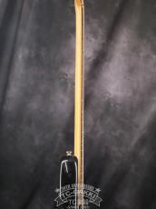 FERNANDES 1980s RJB75-60_9