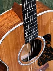 Taylor 【New Model‼】Gold Label 512e Grand Concert Deep Body #1201276046 【48回迄金利0%対象】【送料当社負担】_3