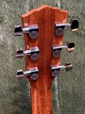 Taylor 【New Model‼】Gold Label 512e Grand Concert Deep Body #1201276046 【48回迄金利0%対象】【送料当社負担】_5