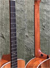 Taylor 【New Model‼】Gold Label 512e Grand Concert Deep Body #1201276046 【48回迄金利0%対象】【送料当社負担】_8