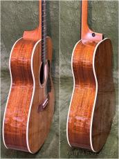 Taylor 【New Model‼】Gold Label 512e Grand Concert Deep Body #1201276046 【48回迄金利0%対象】【送料当社負担】_9