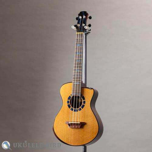 Hozen Green Label Aged Western Red Cedar / Indian Rosewood