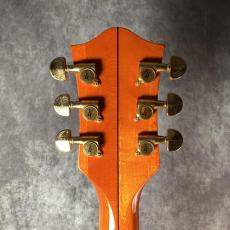 Gretsch Nashville-1960 6120-60_6