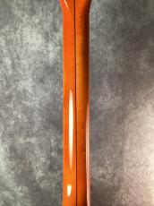 Gretsch Nashville-1960 6120-60_7