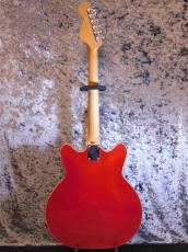 Fender Coronado Ⅱ'67_2