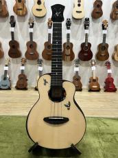 aNueNue UC200HB Humming Bird Concert_2