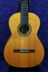 ARIA AC-70F _2