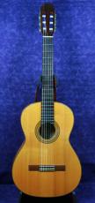 ARIA AC-70F _6