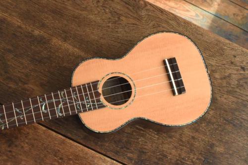 Seilen Soprano SLS-1350s