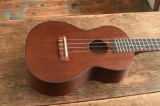 Luna Concert MV-2C QV_2