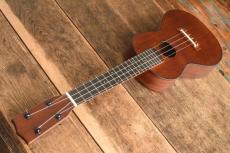 Luna Concert MV-2C QV_8