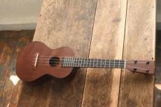 Luna Concert MV-2C QV_9