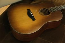 Taylor Builder's Edition 517e / Wild Honey Burst 【特価品】