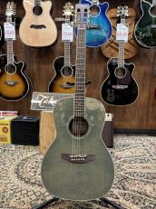 Takamine 400 Custom -Ivy Green-【製作本数1本のみ】_2