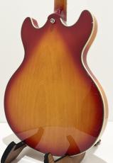 Sire H7V / CS【ラリー・カールトン監修!!】_6