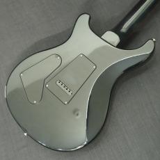 Paul Reed Smith [PRS] S2 Custom 24 Gray Black【2014年製】_5
