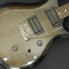 Paul Reed Smith [PRS] S2 Custom 24 Gray Black【2014年製】_9