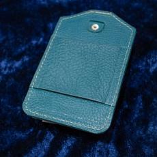 greendale SHURE GLXD1+用 ケース Arizona ターコイズ_2