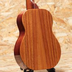 KoAloha KTM-00 Tenor 2012_2