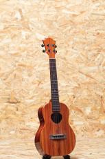 KoAloha KTM-00 Tenor 2012_3