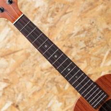 KoAloha KTM-00 Tenor 2012_6