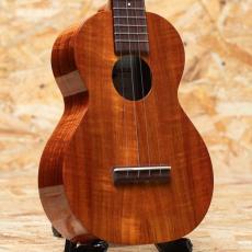 Kamaka HF-2 Concert 2014