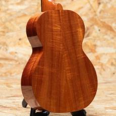 Kamaka HF-2 Concert 2014_2