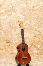 Kamaka HF-2 Concert 2014_3