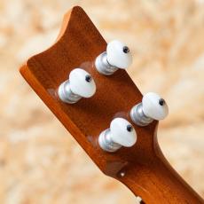 Kamaka HF-2 Concert 2014_9