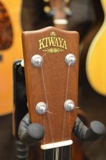 KIWAYA MV-3Cf_2