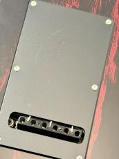 TOM ANDERSON 【至高のハイエンドギター】THE Classic Black w/Red Dog Hair#11-26-21P【3.26KG】_9