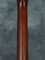 Bourgeois Signature TS OM Madagascar Rosewood_12