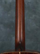 Bourgeois Signature TS OM Madagascar Rosewood_13