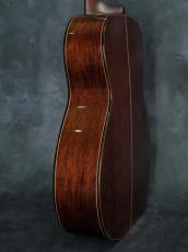 Bourgeois Signature TS OM Madagascar Rosewood_17