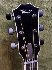 Taylor Custom 614ce Florentine -Trans Blue- # 1206065074【48回迄金利0%対象】【送料当社負担】_4