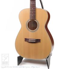 Maton MASTER BUILT - TE Personal 