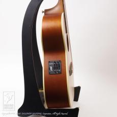 Maton MASTER BUILT - TE Personal _5