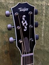 Taylor 614ce LTD Big Leaf Maple -Aquamarine- #1203135086【48回迄金利0%対象】【送料当社負担】_4