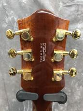 Gretsch Electromatic Pristine LTD Center Block Double-Cut w/Bigsby_6