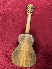 Leho  LHUC-ASMG-LMT #5120658【コンサートサイズ】【チューナー&ウクレレ教本プレゼント】_4