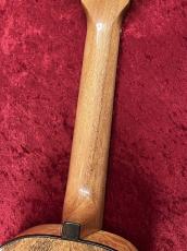 Leho  LHUC-ASMG-LMT #5120658【コンサートサイズ】【チューナー&ウクレレ教本プレゼント】_8