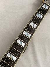 D'Angelico Deluxe Bedford SH -Desert Gold- #W2101488 【3.24kg】【D'Angelicoストラップ・シャツプレゼント!】_5