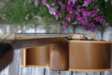 Gibson ES-295_11