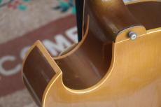 Gibson ES-295_13