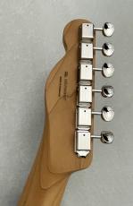 Fender 【ギグバッグキャンペーン対象】Player II Telecaster Roasted Maple Neck  Moonlight Drive ≒3.54kg _9