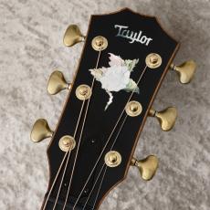 Taylor CTM GA -Trans Black- 【現物動画あり】【最高級キルトメイプル】【コアバインディング】【48回無金利】_3