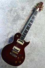 Aria Pro II PE-R100 AR【4.29kg/美品中古】_2