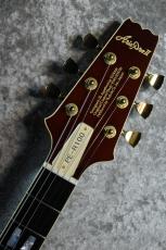 Aria Pro II PE-R100 AR【4.29kg/美品中古】_5