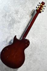 Aria Pro II PE-R100 AR【4.29kg/美品中古】_7